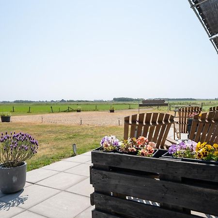 Johanneshoeve - De Mooiste Plek Op Texel Den Hoorn  Exteriör bild