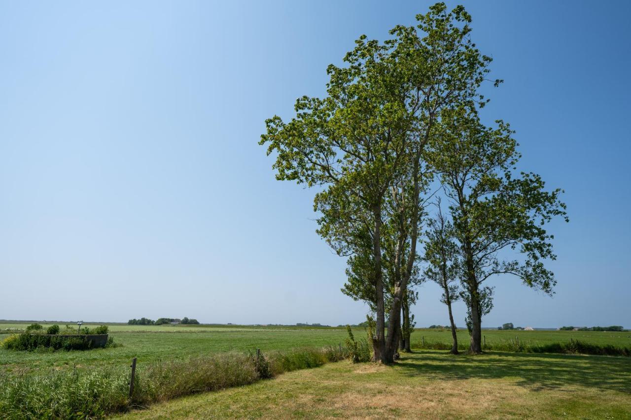 Johanneshoeve - De Mooiste Plek Op Texel Den Hoorn  Exteriör bild