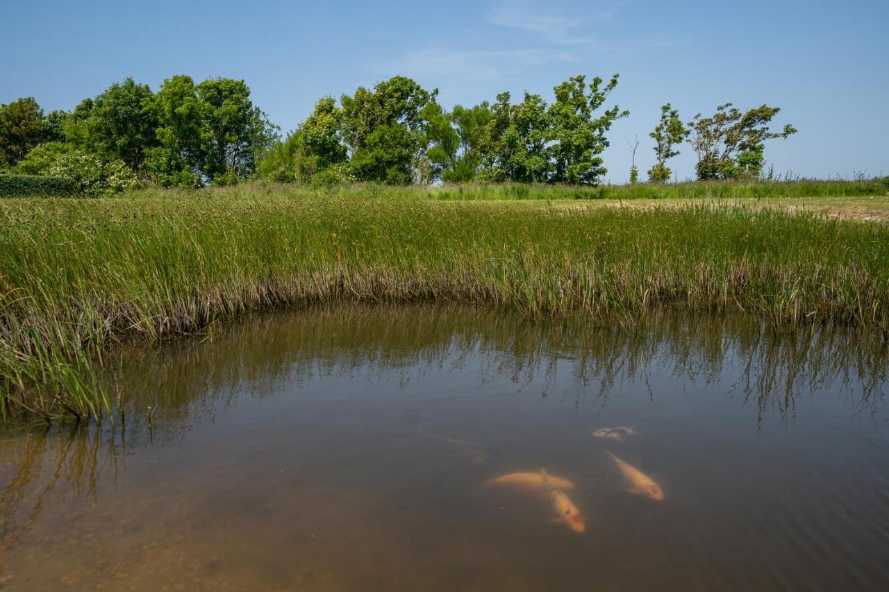Johanneshoeve - De Mooiste Plek Op Texel Den Hoorn  Exteriör bild